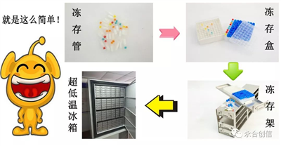 樣本凍存解決方案之凍存架、凍存盒、凍存管