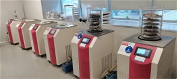 實驗室臺式冷凍干燥機核心性能剖析與應(yīng)用考量